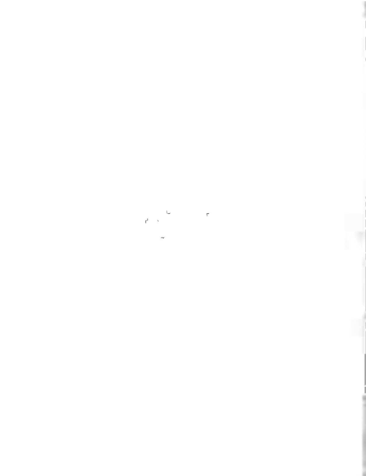 The white rectangle appears to be blank aside from its central margin.