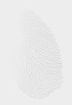 And barely visible, along the lower right edge, a smudge of a fingerprint. It could be yours.