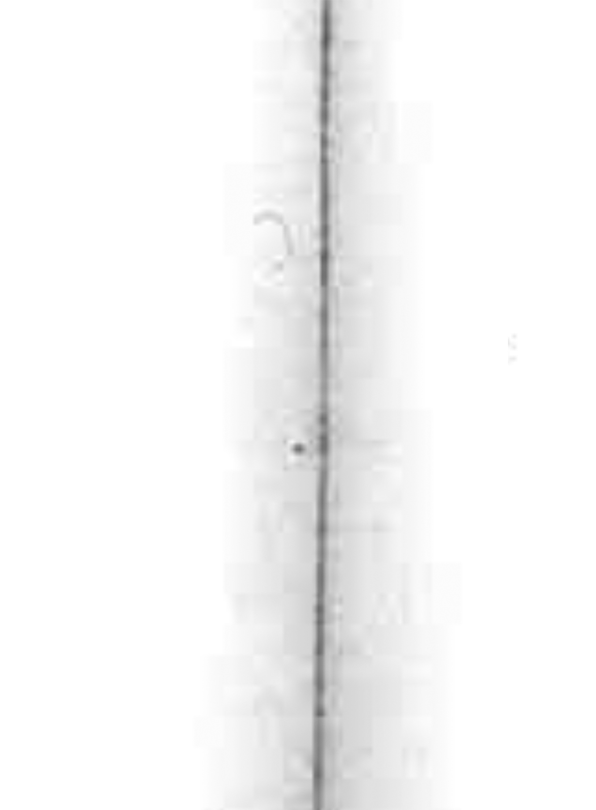 The white rectangle is now sutured by three seams;